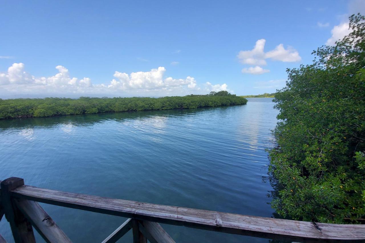 The Sunsetter Bed & Breakfast Bocas del Toro Exterior foto