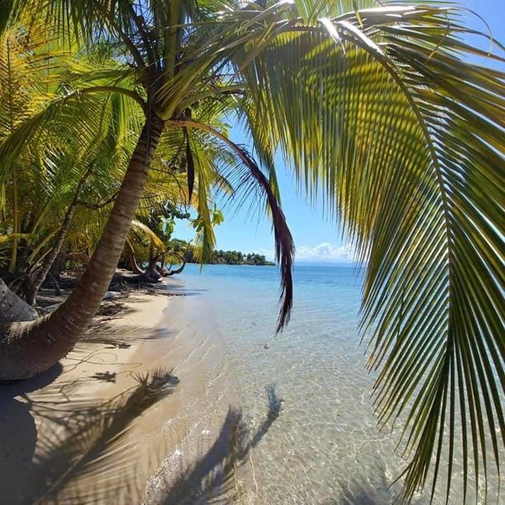 The Sunsetter Bed & Breakfast Bocas del Toro Exterior foto