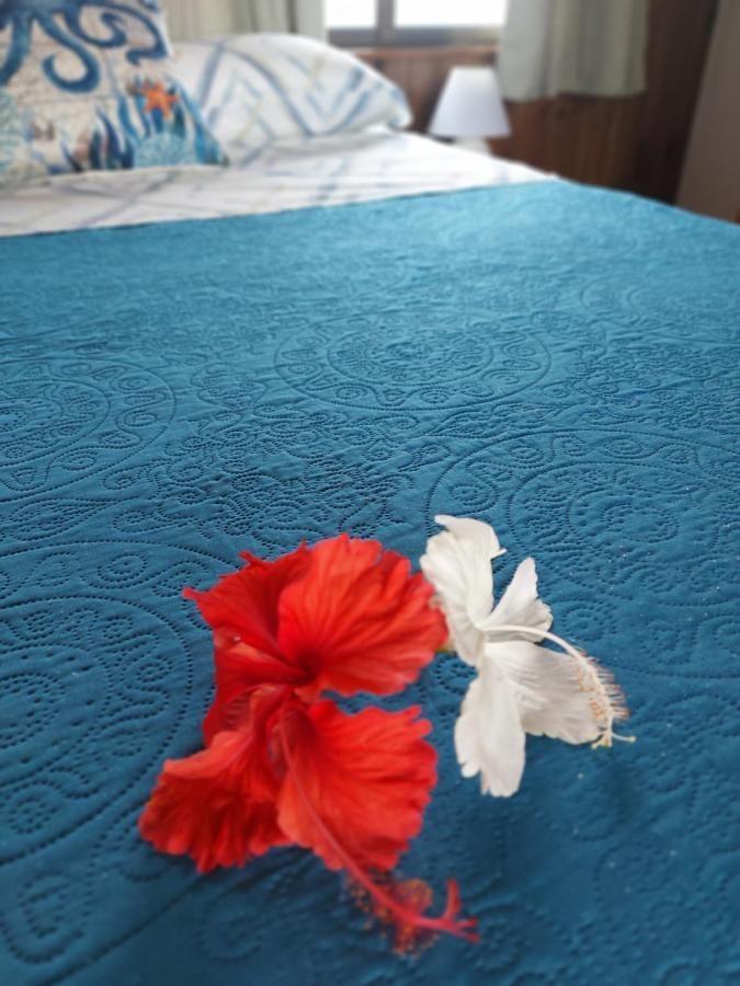The Sunsetter Bed & Breakfast Bocas del Toro Exterior foto